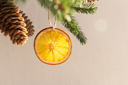 Today I'mhow to dry oranges for decoration 