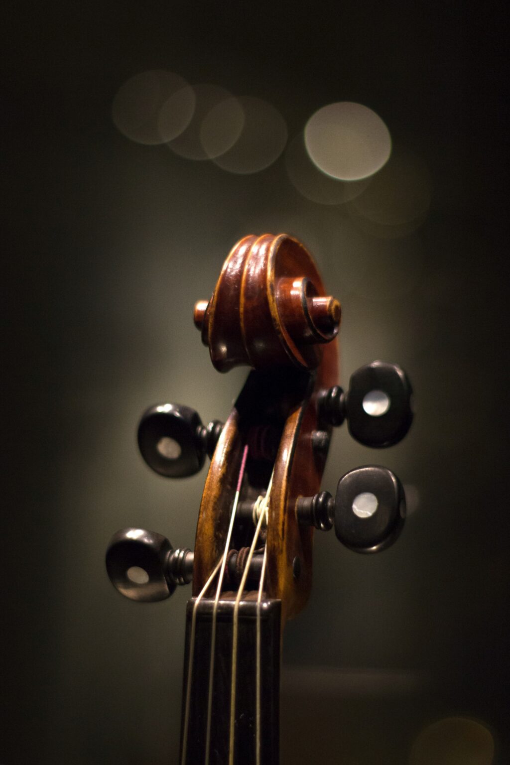 Online Violin Program